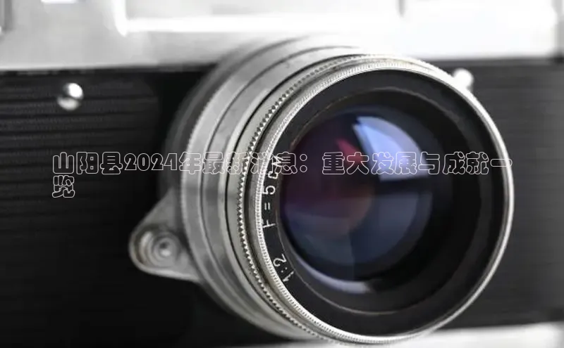 意昂体育4官网百度手机输入法山阳县2024年最新消息：重大发展与成就一
览