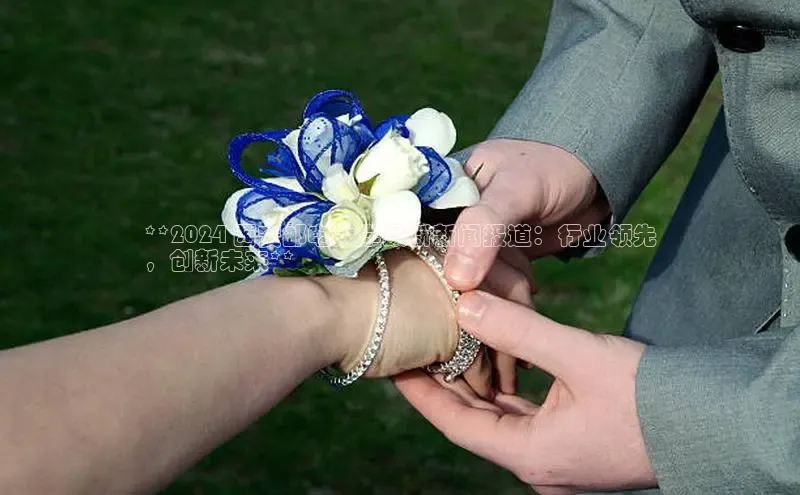 意昂体育4阿里尔公司**2024 西安邮电大学最新新闻报道：行业领先
，创新未来**