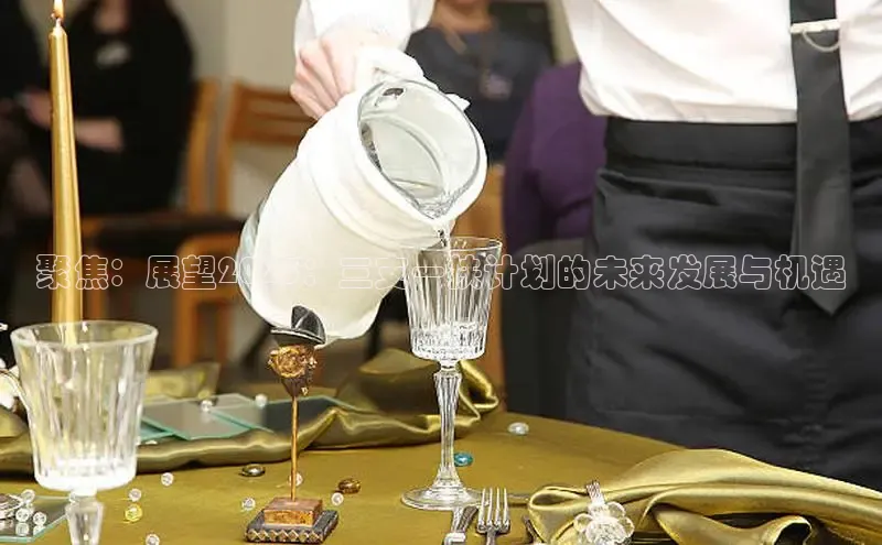 聚焦：展望2025：三支一扶计划的未来发展与机遇