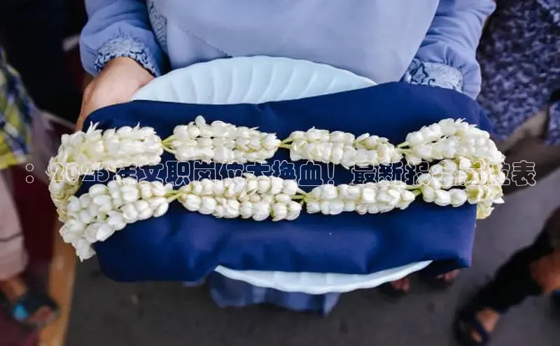 ：2025年文职岗位大换血！最新报名岗位表