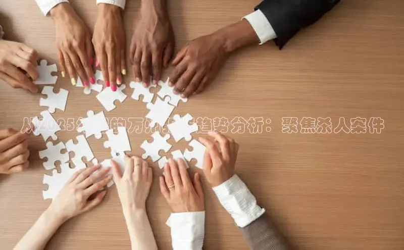 从2025年起的万州犯罪趋势分析：聚焦杀人案件